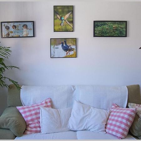 סביליה Casa De Los Pajaros מראה חיצוני תמונה