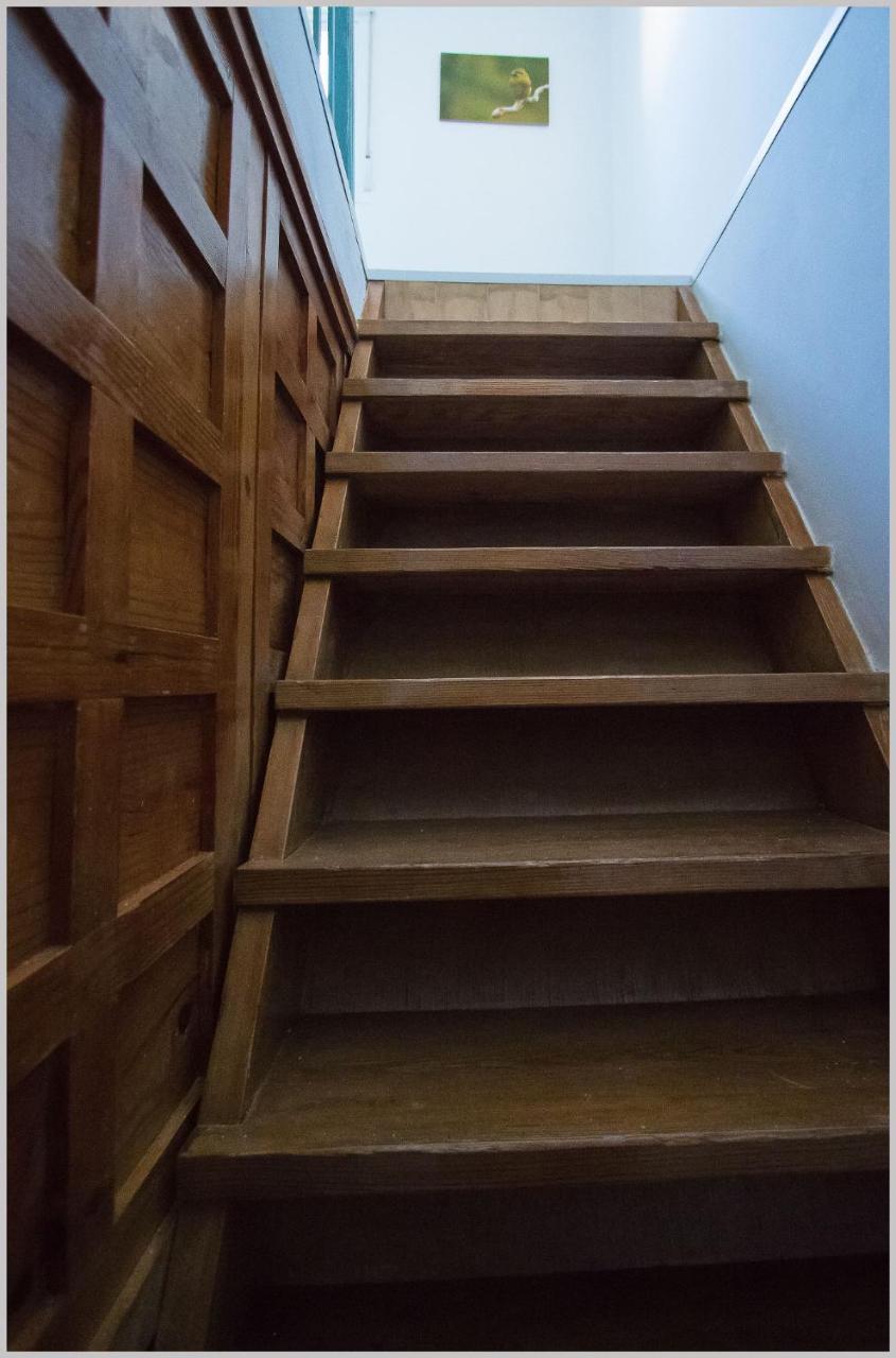 סביליה Casa De Los Pajaros מראה חיצוני תמונה