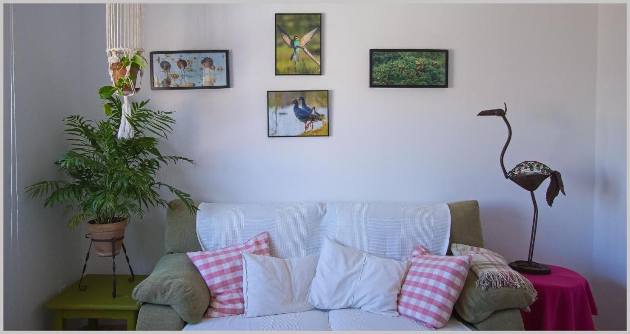 סביליה Casa De Los Pajaros מראה חיצוני תמונה