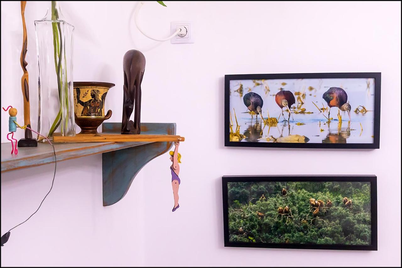 סביליה Casa De Los Pajaros מראה חיצוני תמונה